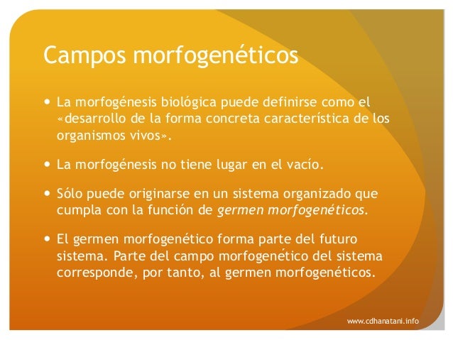 campos morfogeneticos